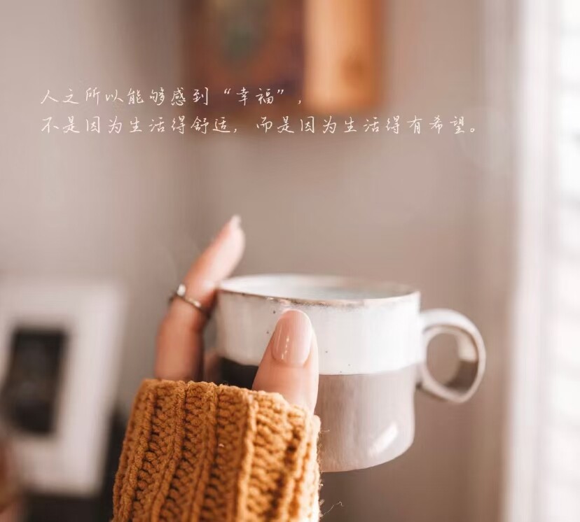 卡莱达宁静的荷叶