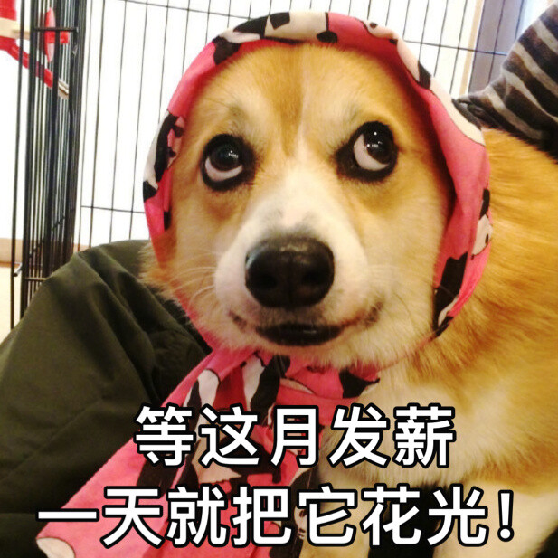 不干正事还会花钱