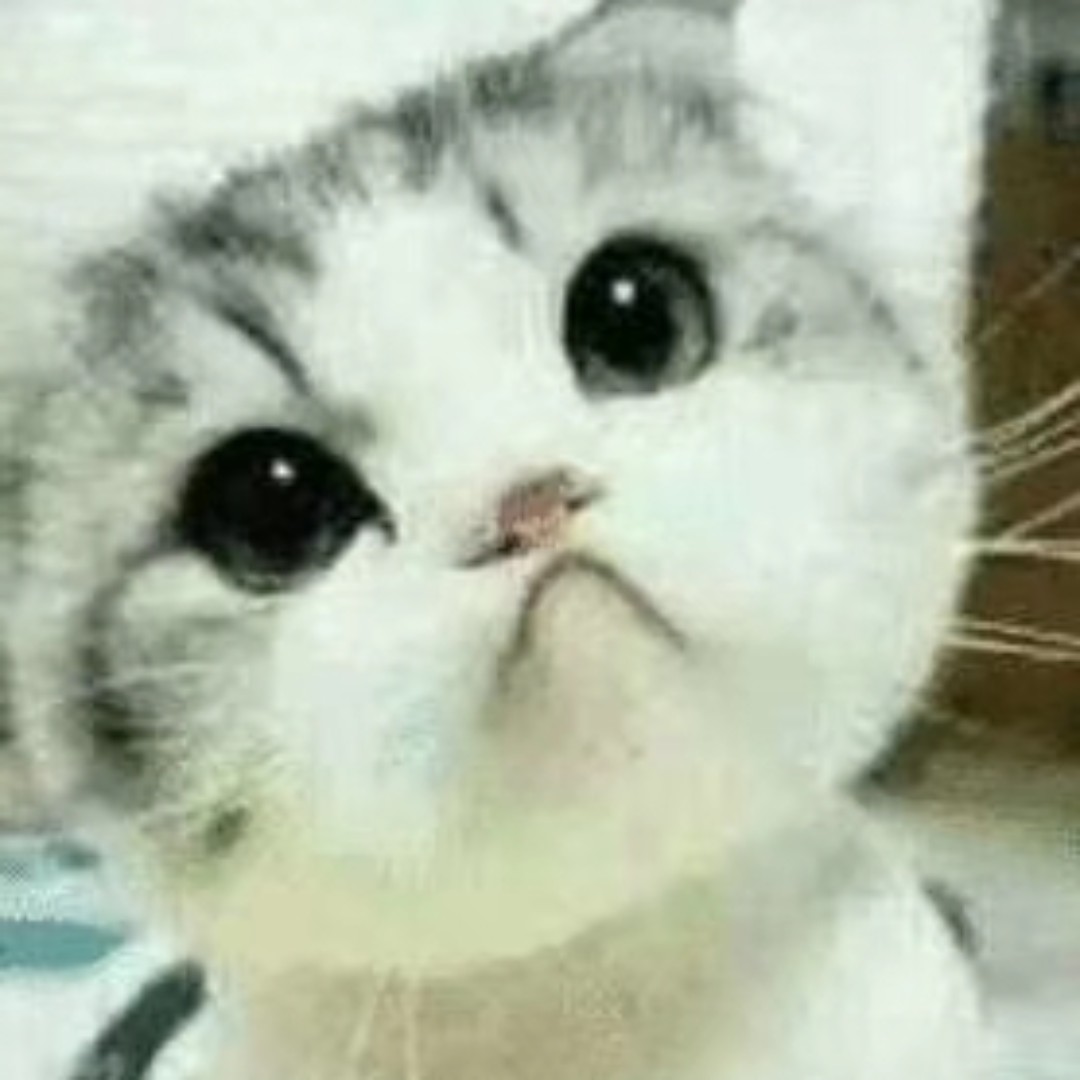 爱吃拌面的鼓手