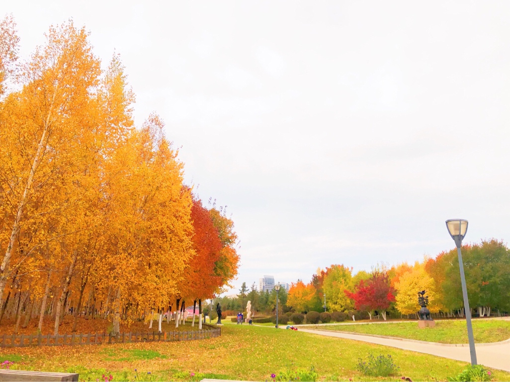 大洋洲唯一的果脯