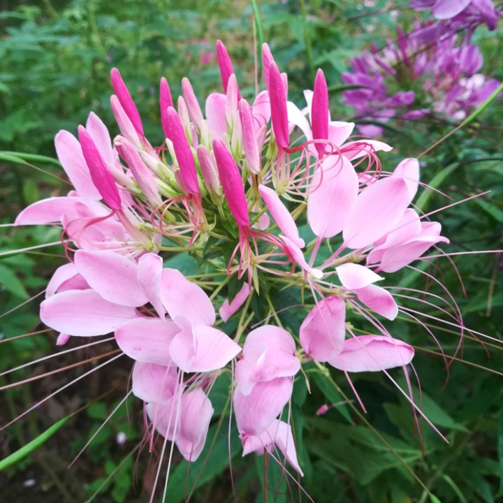 原地不再是同样的风景