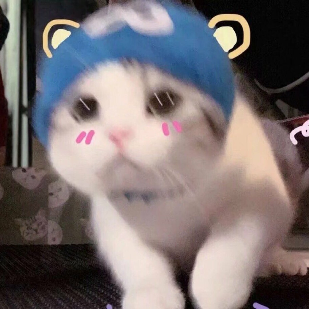 我的头可不是面团捏嗒