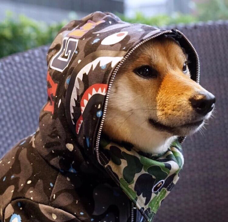 马的穷死我算了