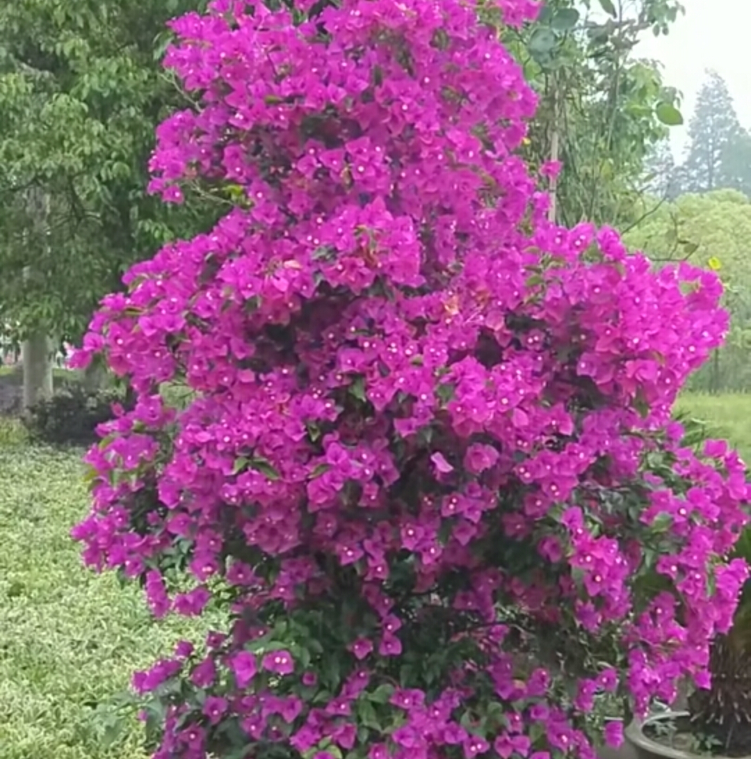 自娱自乐的小憨憨