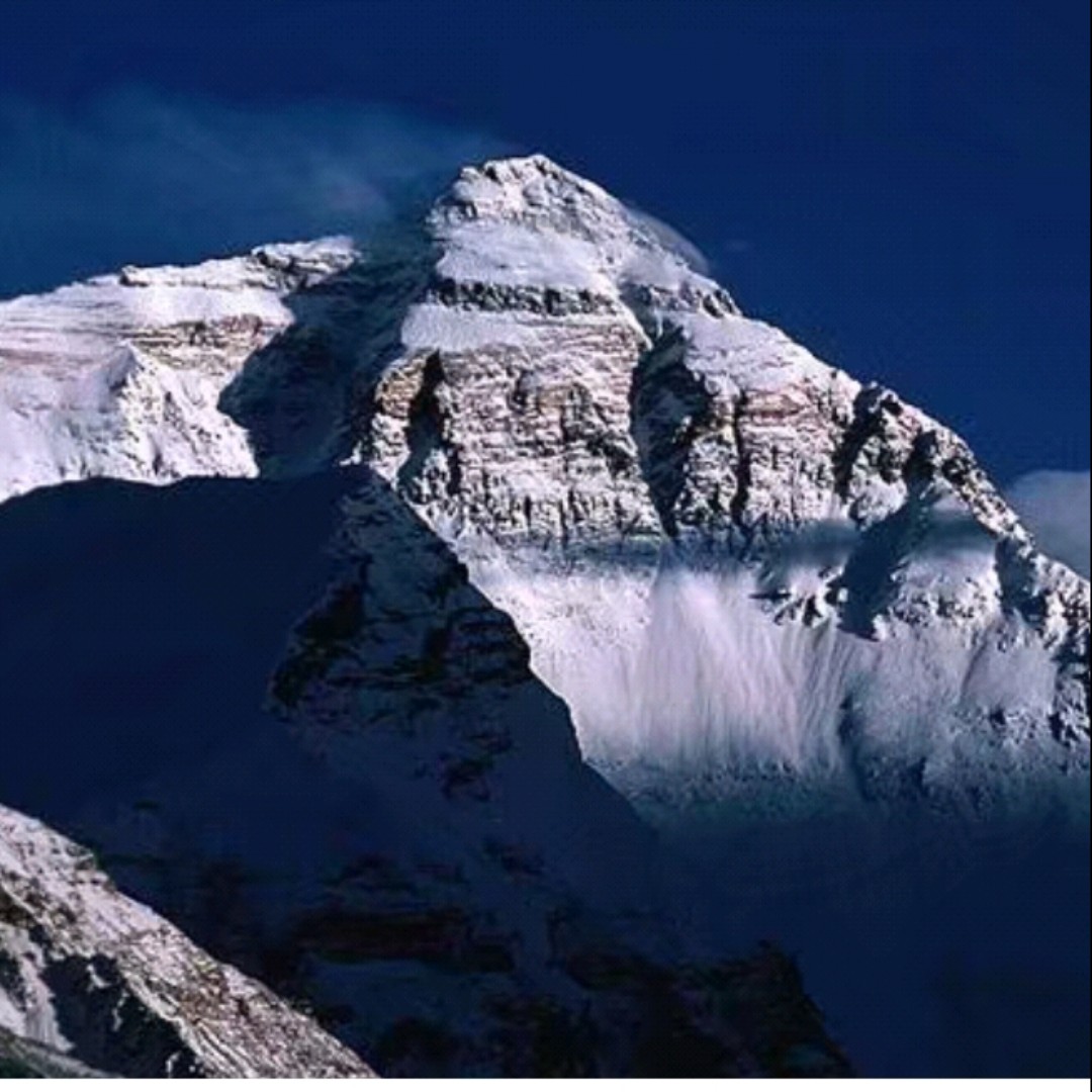 买买买买买买灬