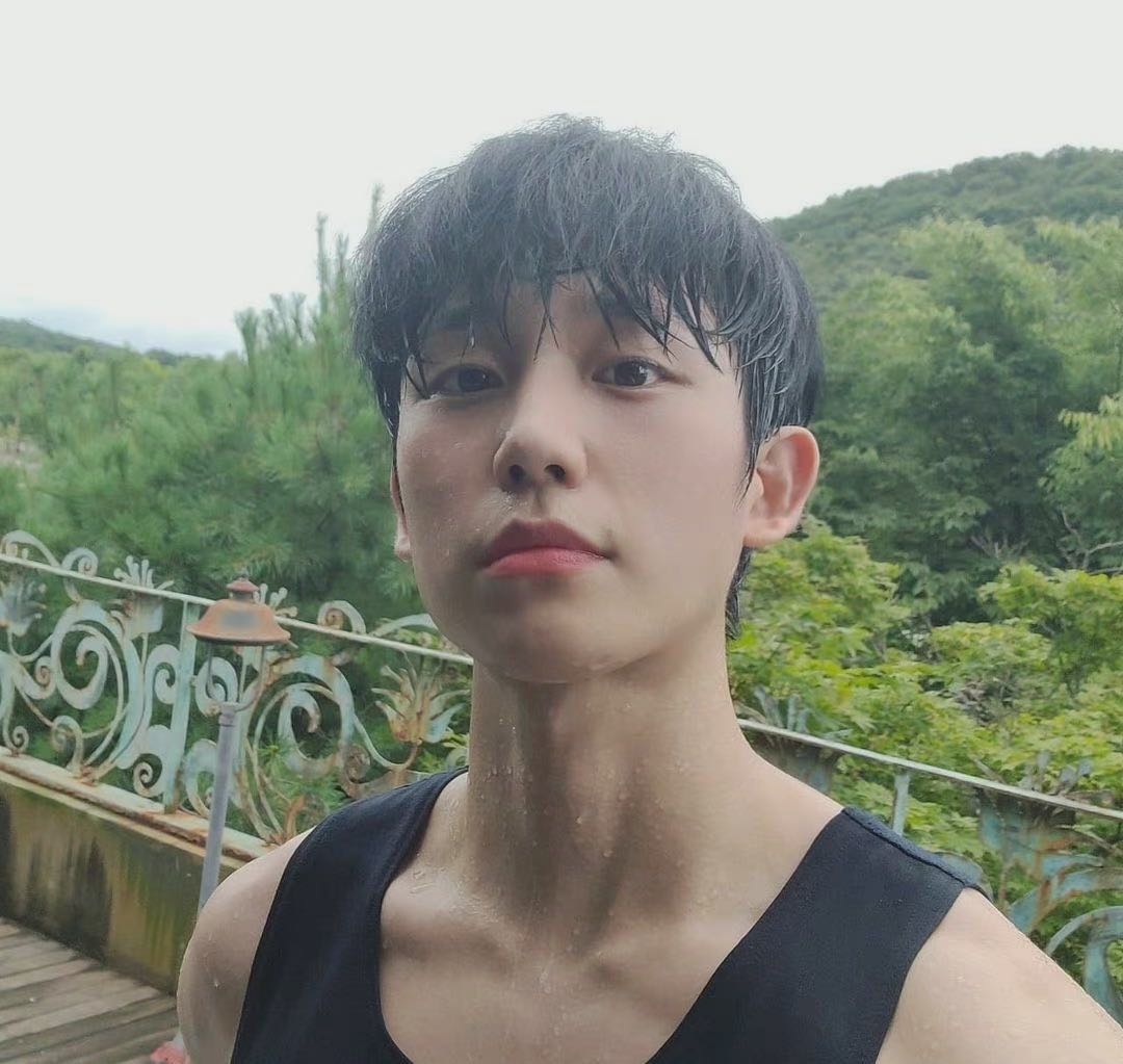 哥酋洛沉默的薄荷