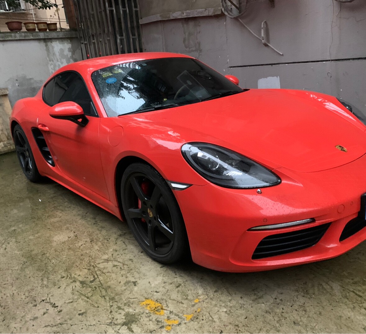 新德里奇妙的酸角