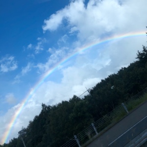 不为人知的兔肉球