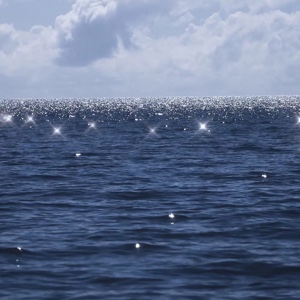 爱吃银丝白菜的清潭