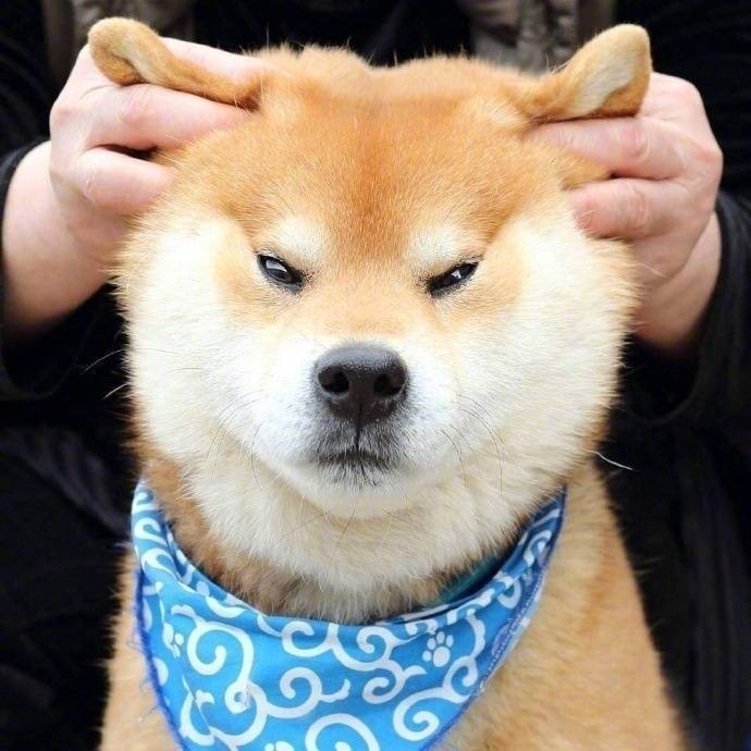 朗朗上口的昵称天啊