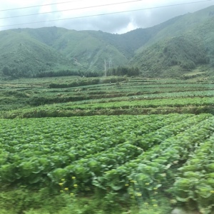 富士山的火山