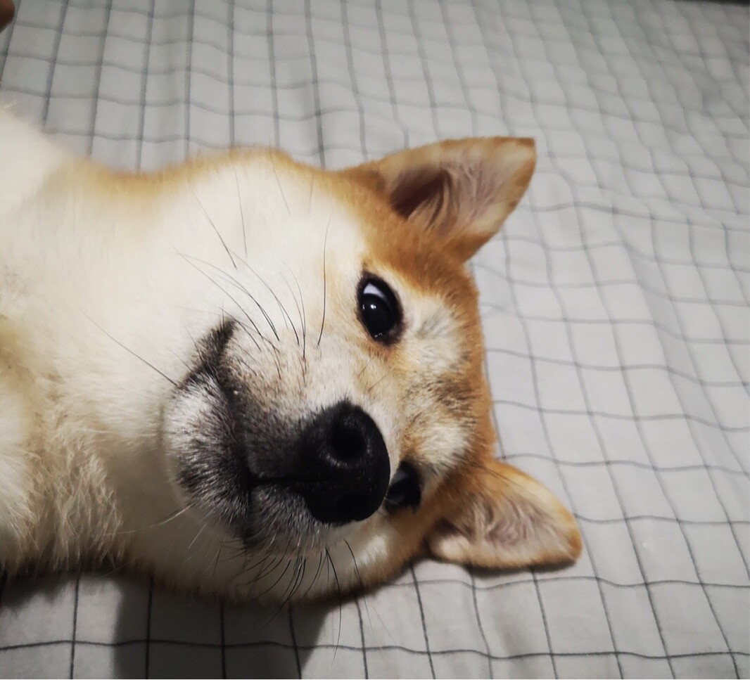 沉溺于山川湖海 ???