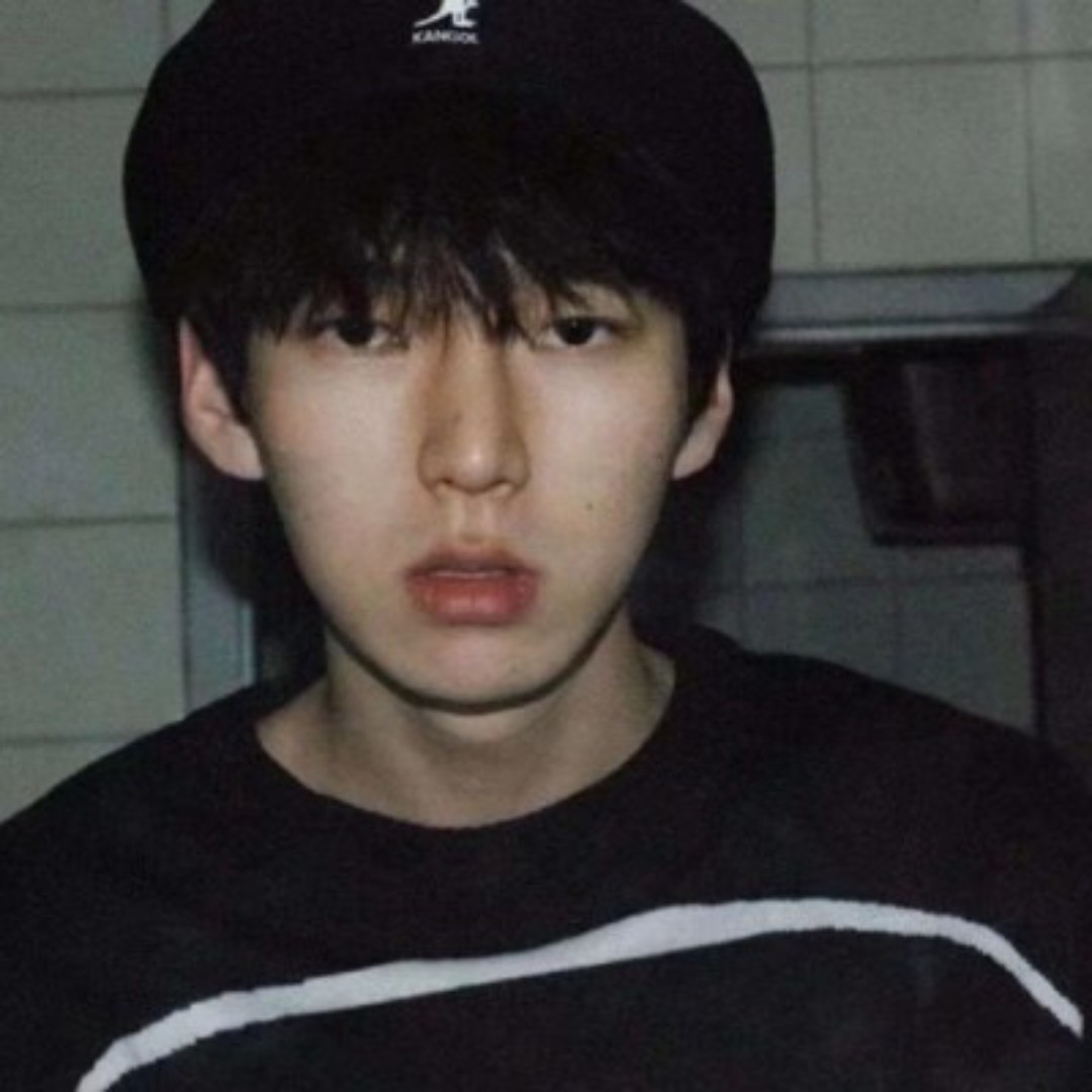 橄榄黄的早美丽李