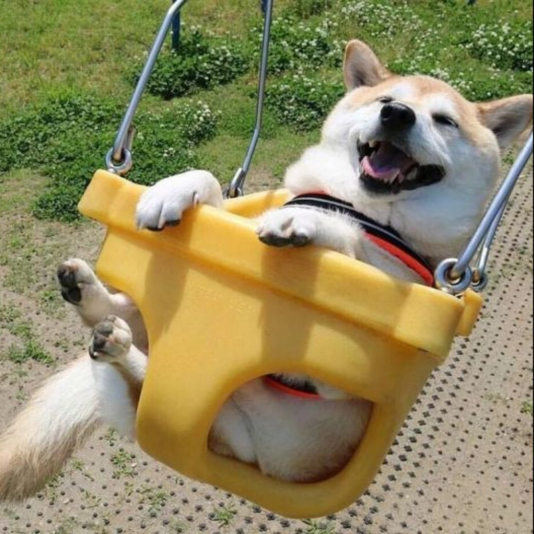 遇见你的李先生1