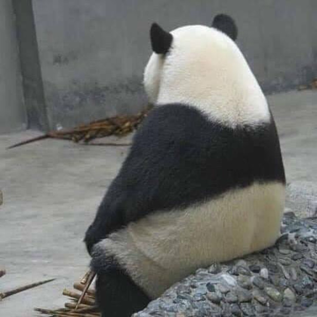 花开叶落花满阁