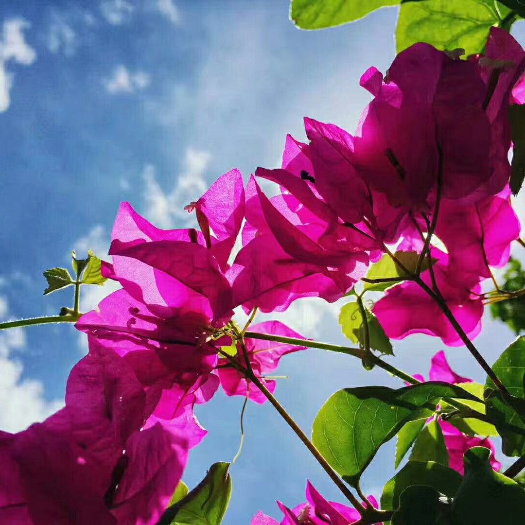 你是我的宝陪你到老