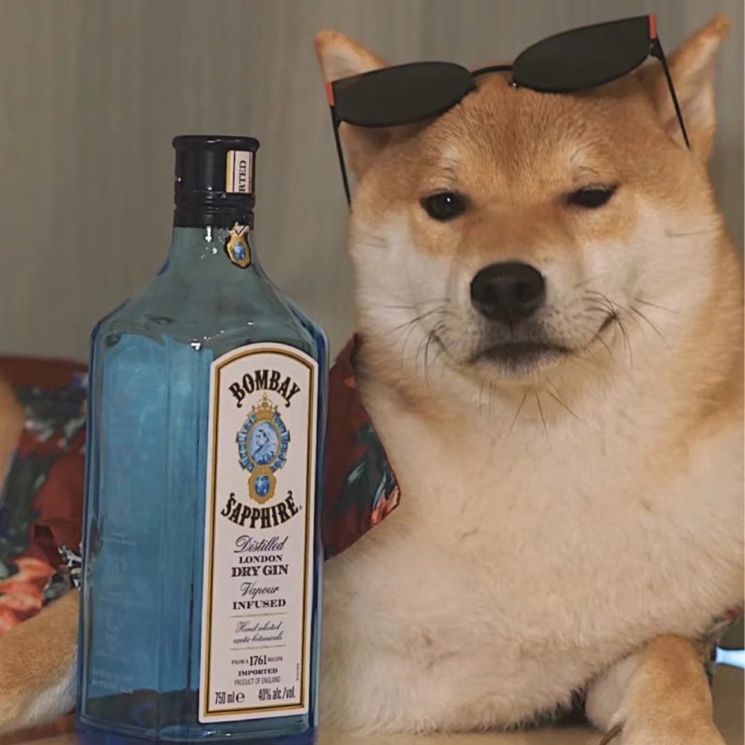 事关孤独只道寻常