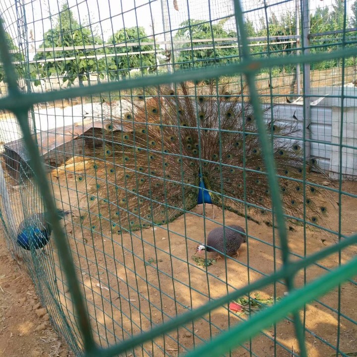 红木哈cool好墨迹