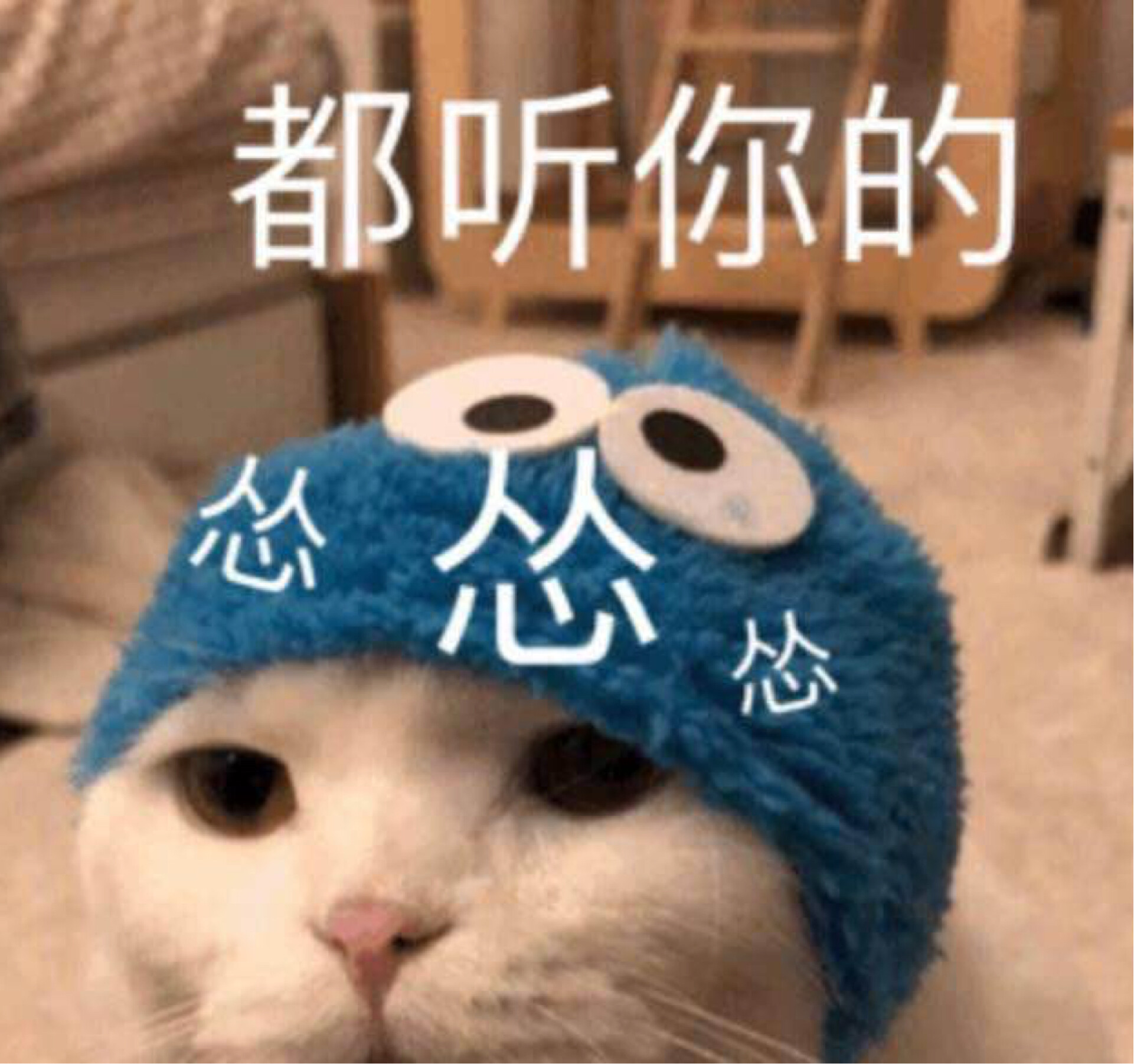 论吃货的自我养成