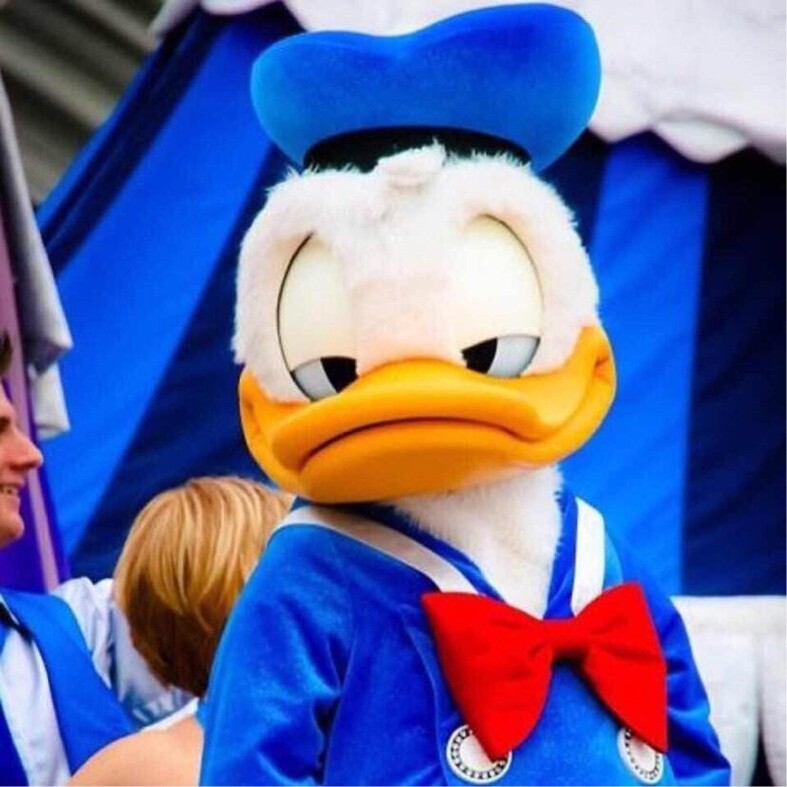 噗哈哈哈哈哈哈