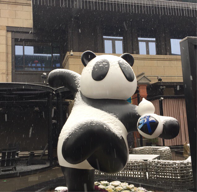 爱吃波菜蛋糕的大头at