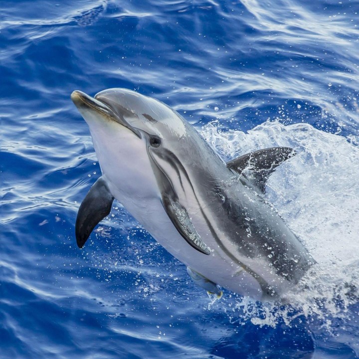 好了伤疤忘了疼201