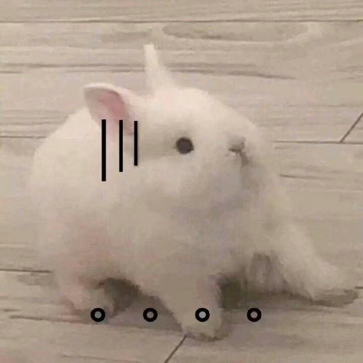 搬进了鸟的眼睛