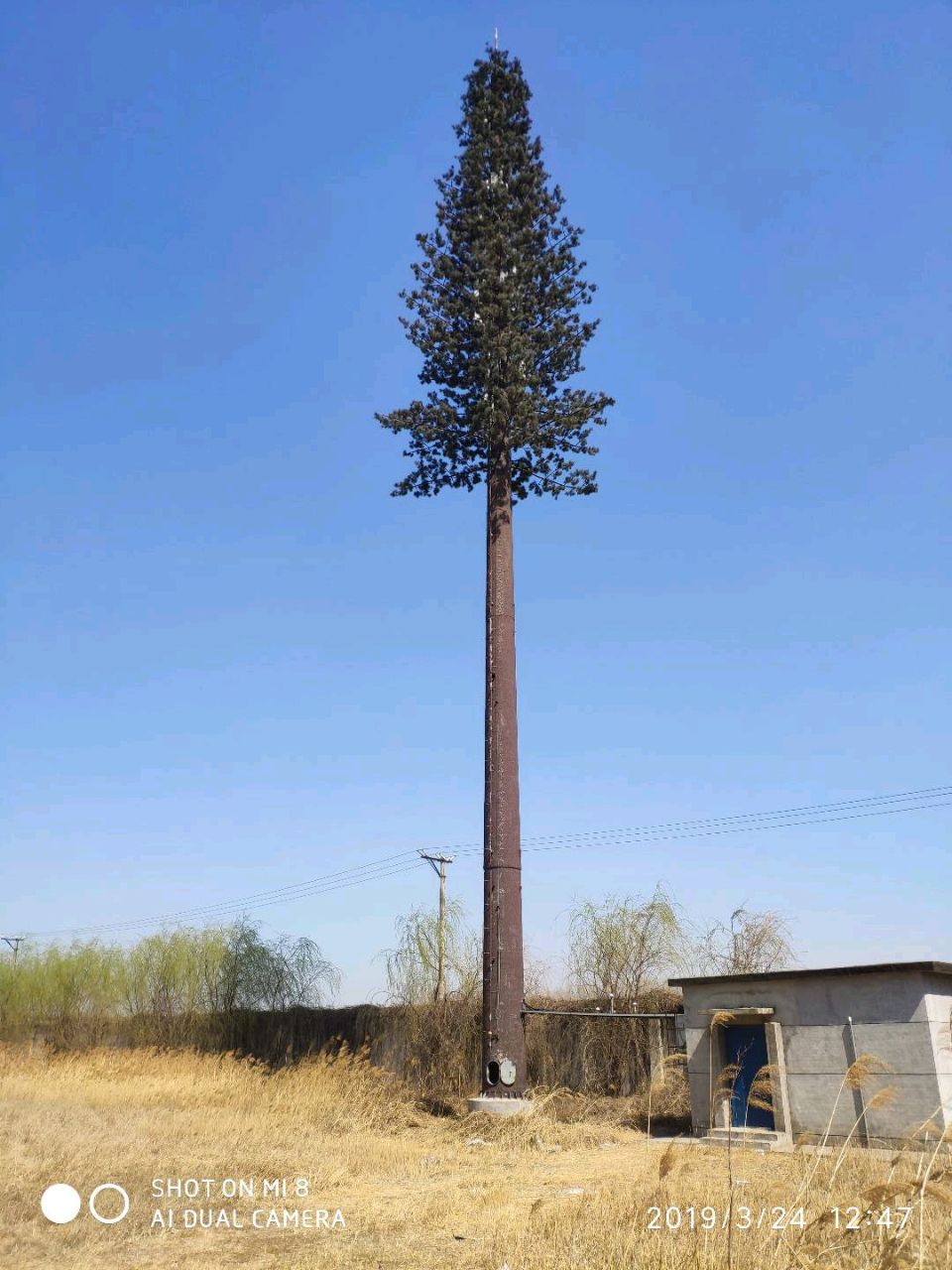 好吃不会胖的东东在哪