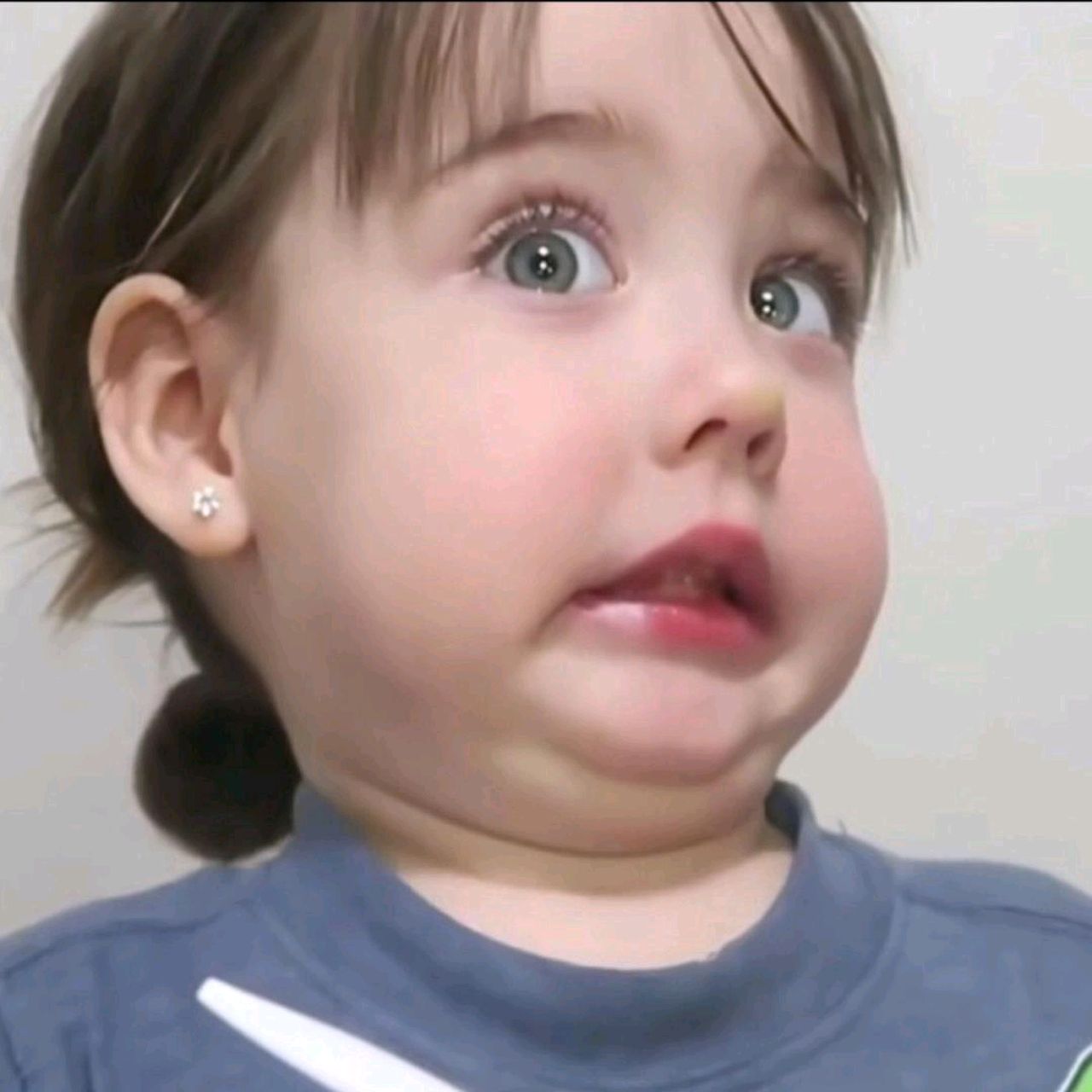 红果果枸杞之家