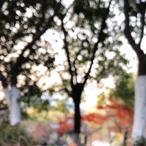 三两蜜饯值几钱