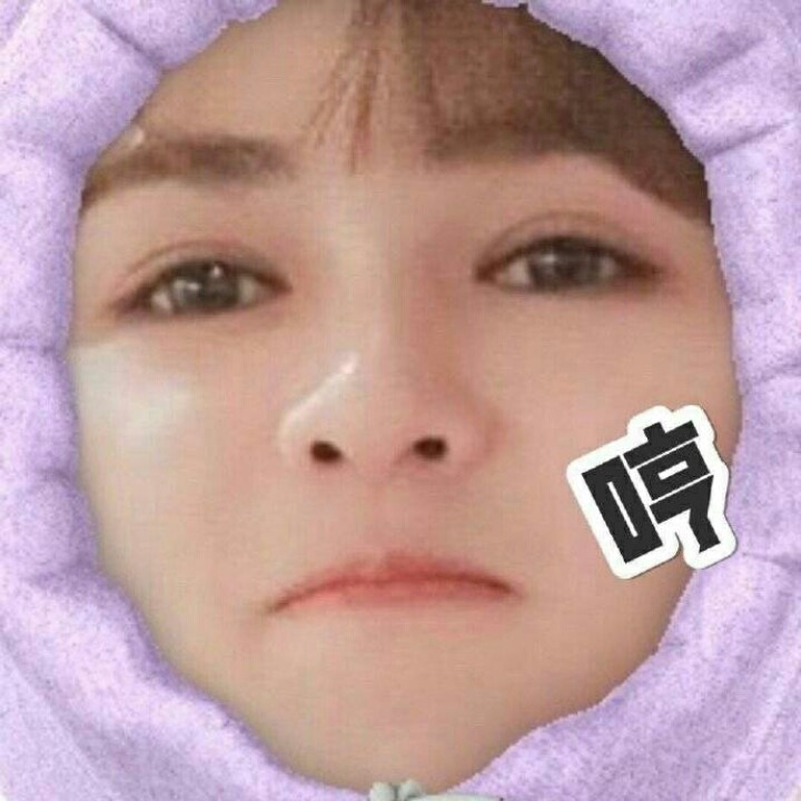 可纳的小猪猪呐