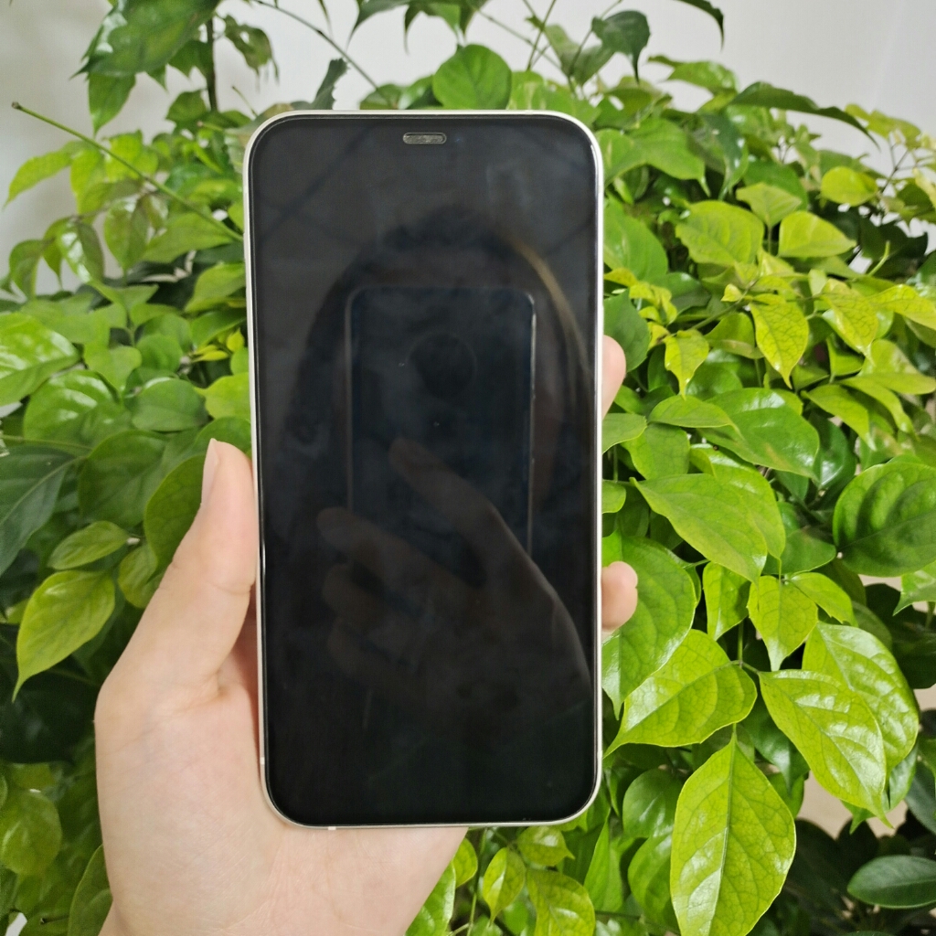 怀特星平凡的柑桔