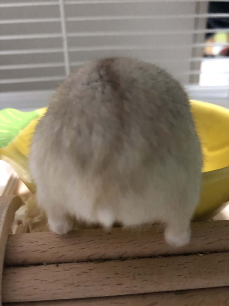 今天第几次倒霉了