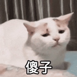 豆绿的五加欲眼