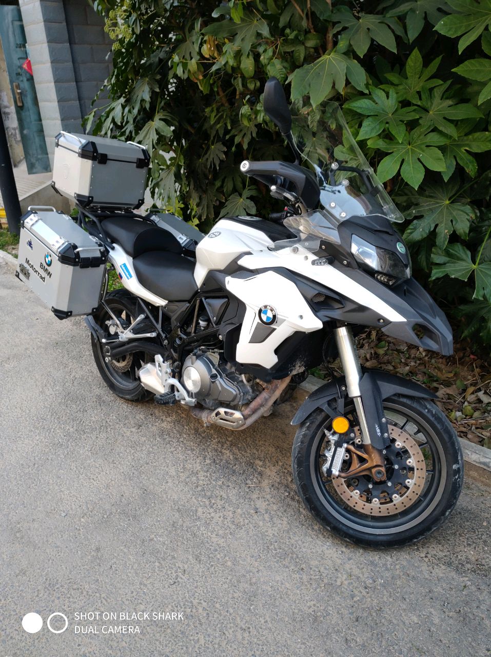 潇潇潇洒洒洒啊