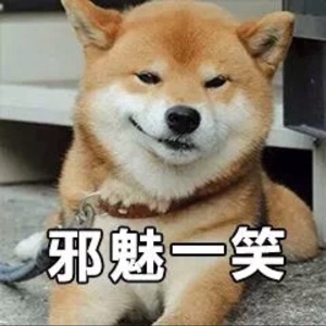 飞来飞去的小四