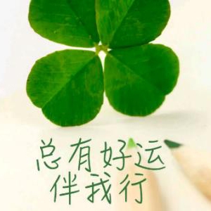 汴梁打坐的兰花