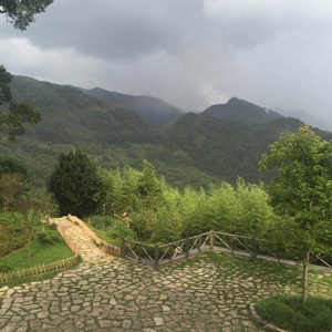 兔兔宝宝的萝卜