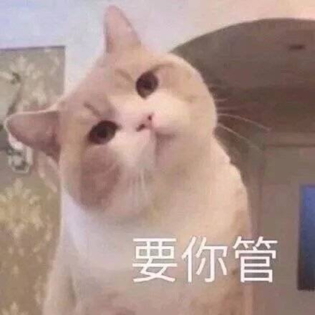老子就是拽哈哈