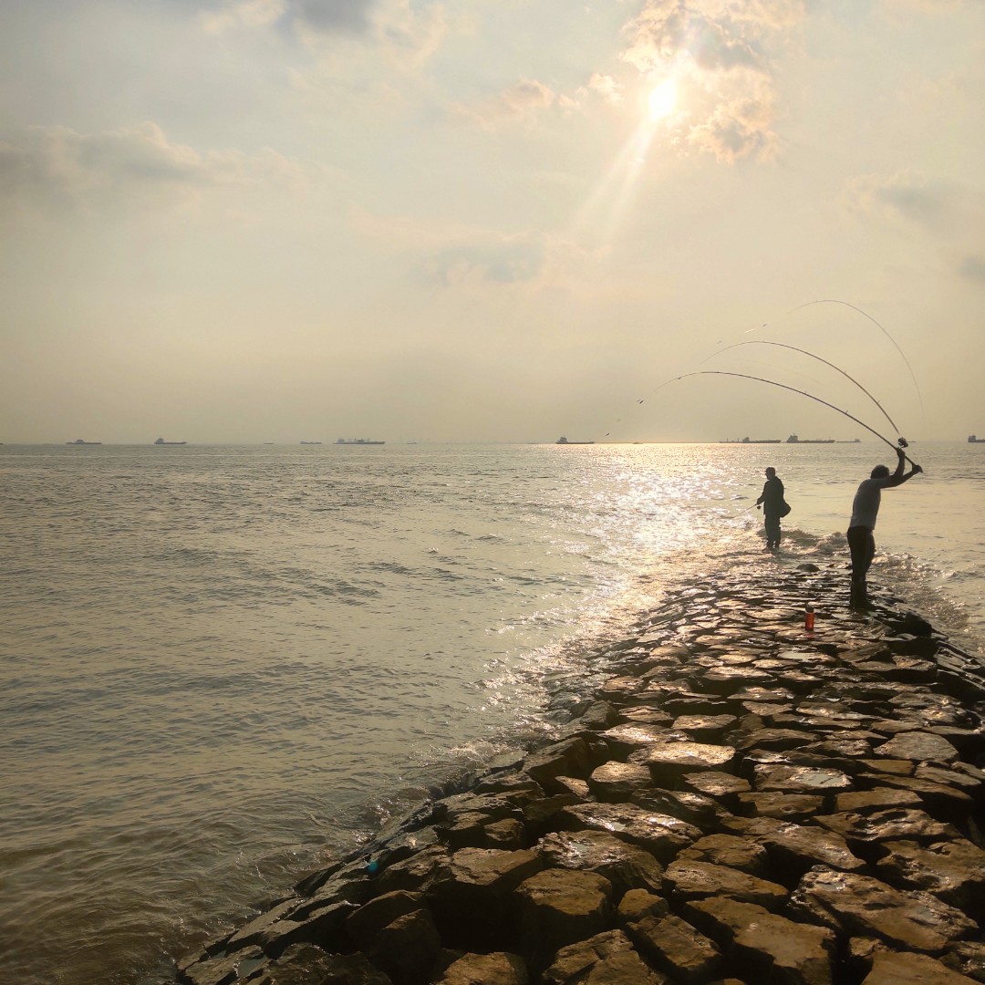 二哈是一只小小鸟