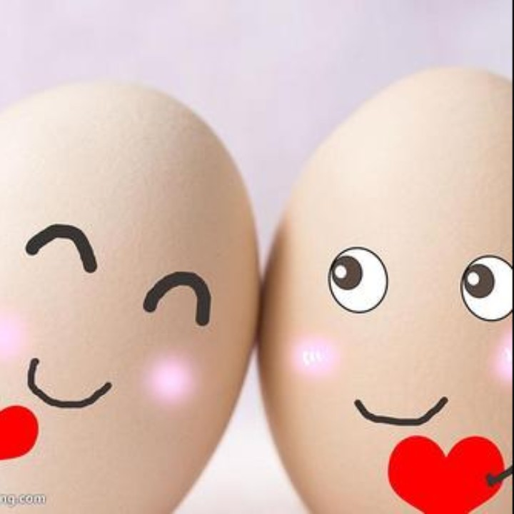 个欢欢乐乐13148