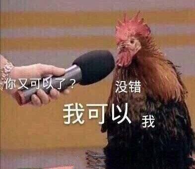 木星外向的贝母