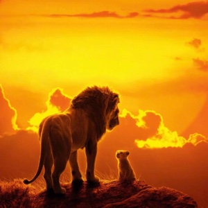 往事不提后事不记