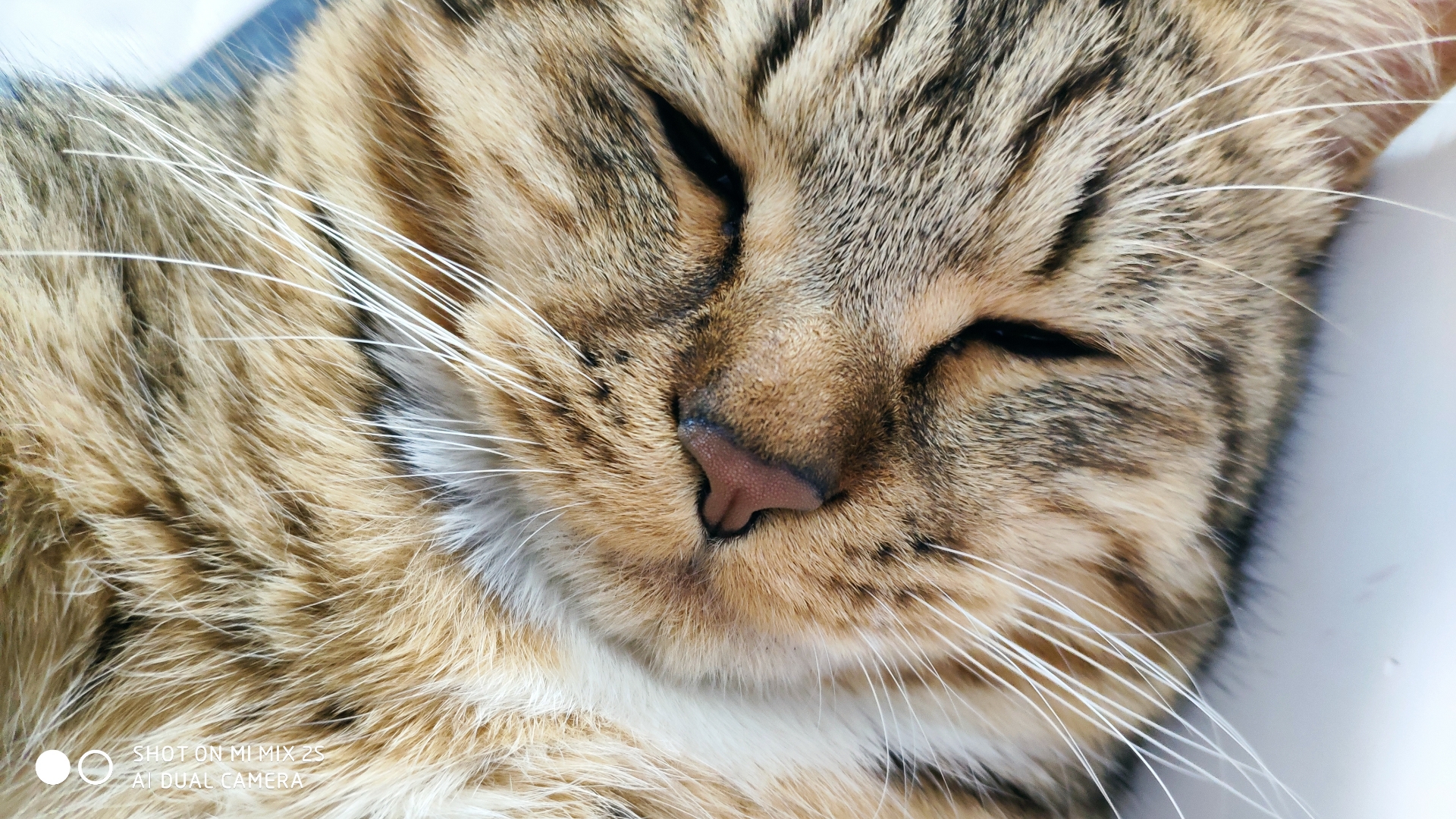 汴梁沉著的饮料