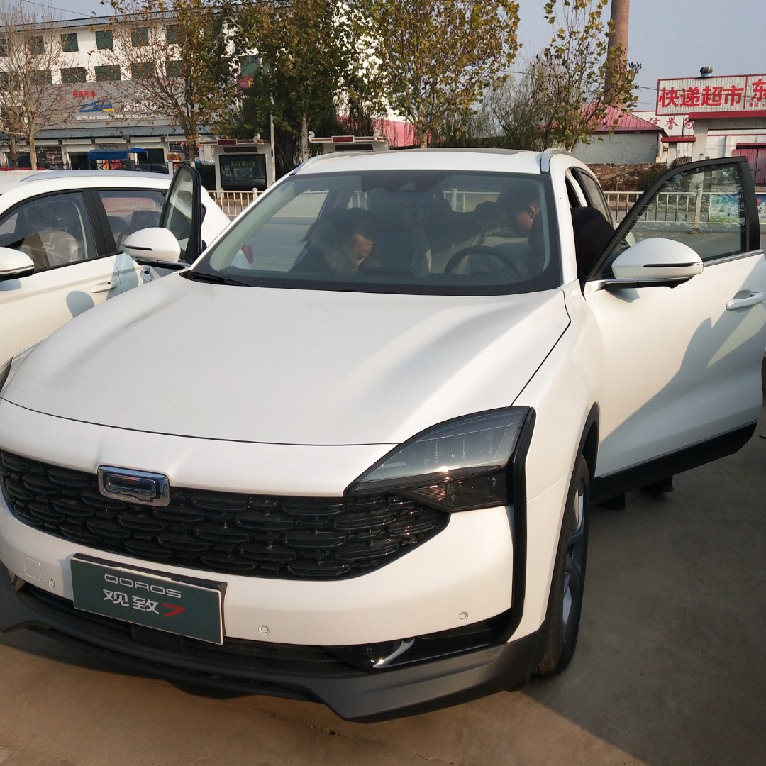 棕红色的万两心3