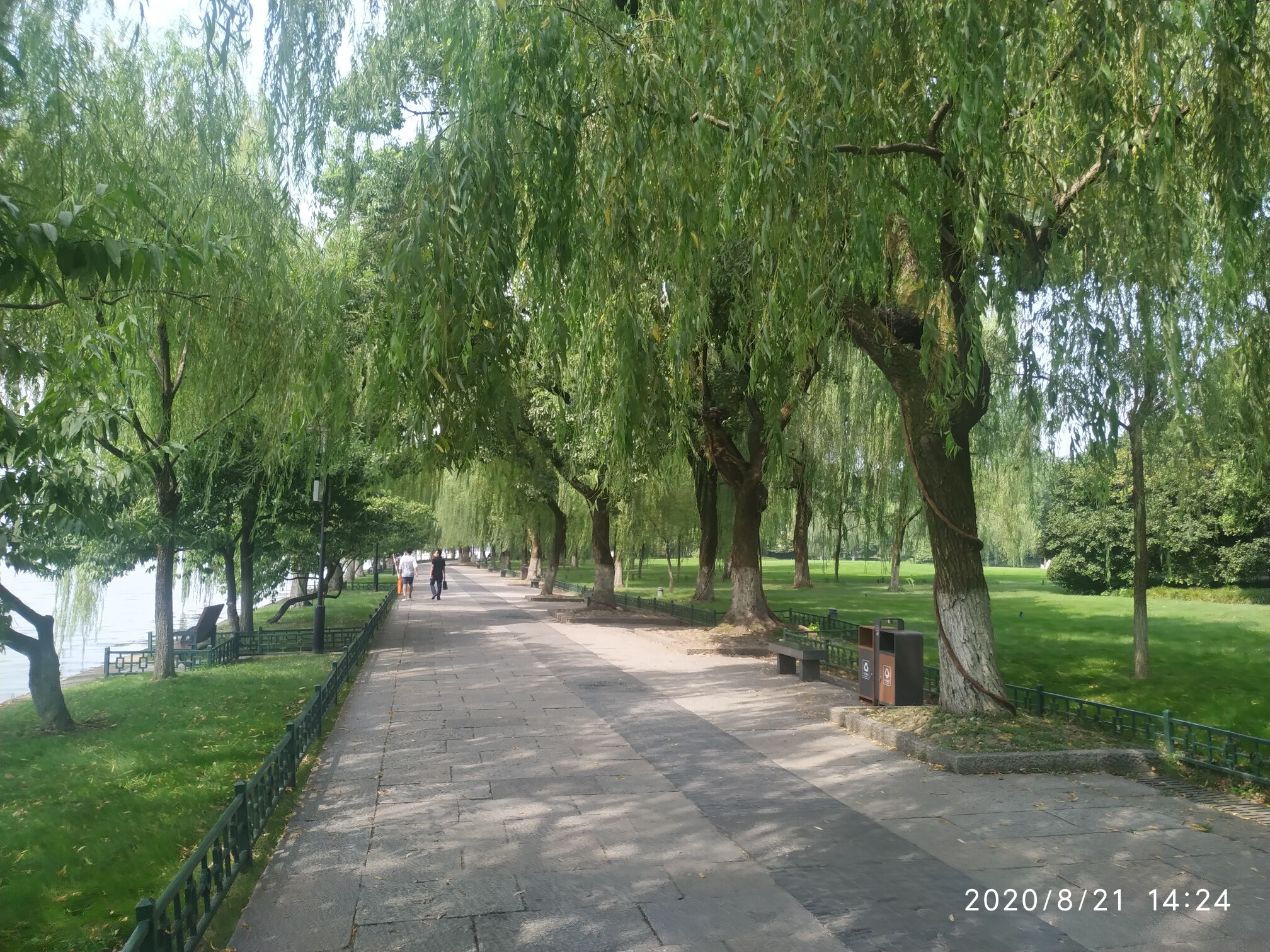 爱吃三元烧鸡的杨桃88