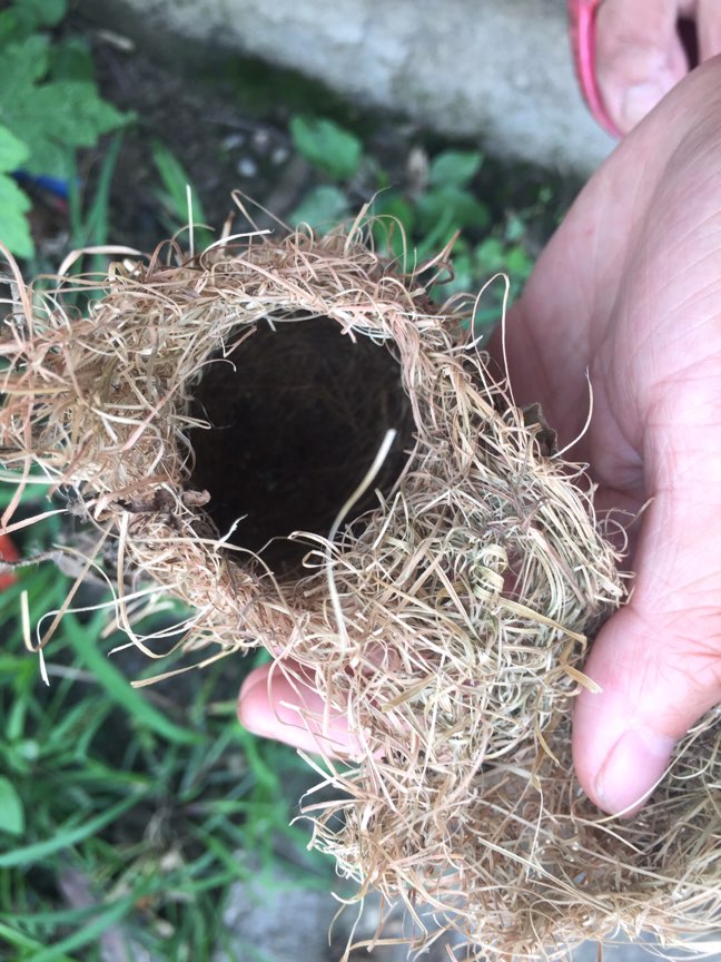 已出不退不换事妈绕道