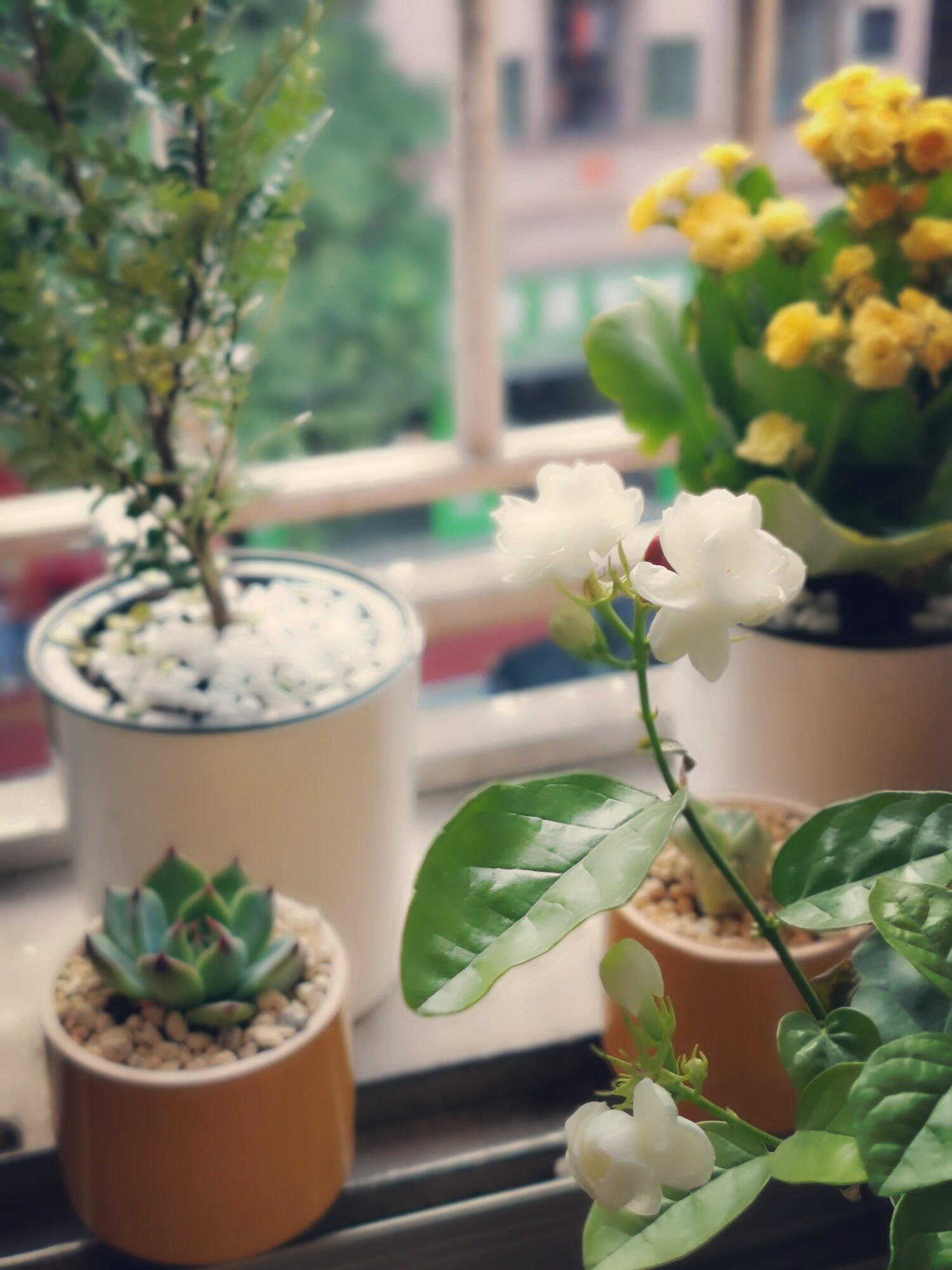 ID太叼西塘不给过