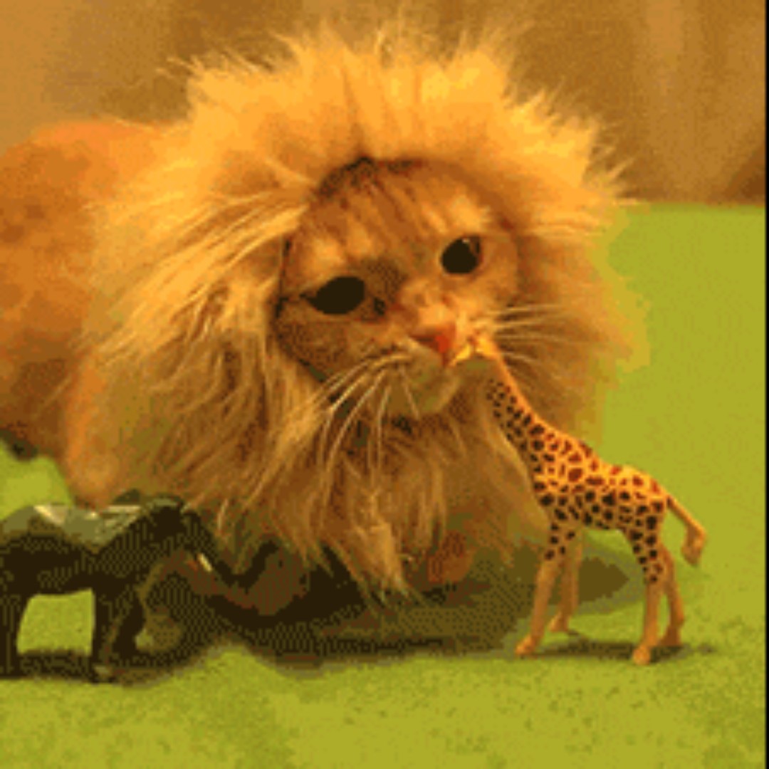 银河边上放牛娃