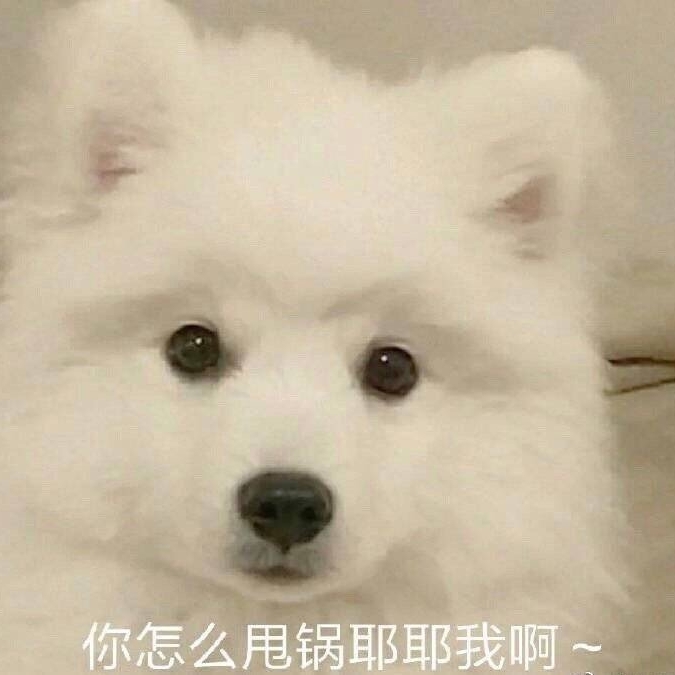 发财树下等端端